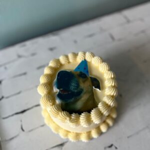 Print Cake 10