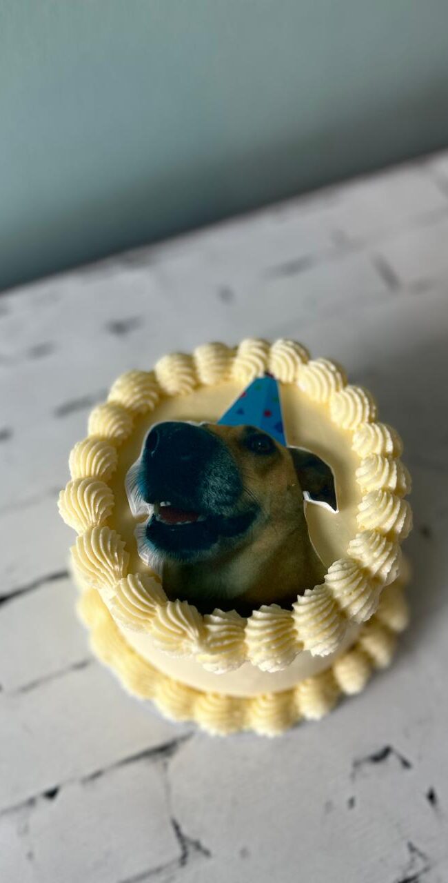 Print Cake 10