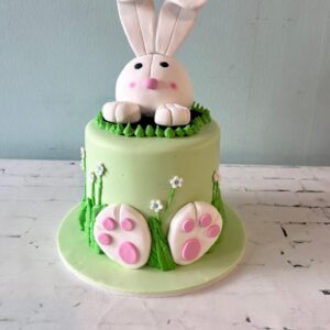 Animal/Safari Cake 6